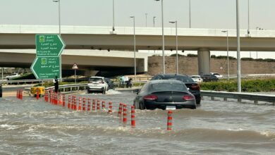 Cloud Seeding and Rain in Dubai: Dissecting the Link to Recent Floods