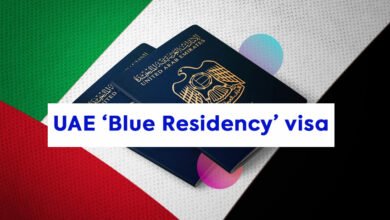 UAE’s 10-Year Blue Visa: Federal Authority for Identity and Citizenship Approved Jobs