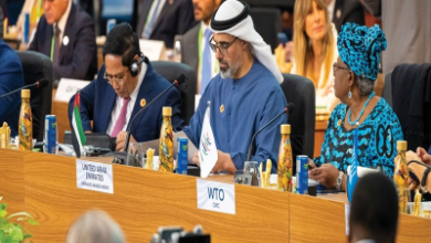 G20 Summit Brazil: Crown Prince Khaled Champions UAE’s Future