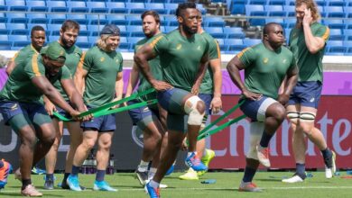 Springboks Equity Battle: New Bidder Proposes Fan Involvement