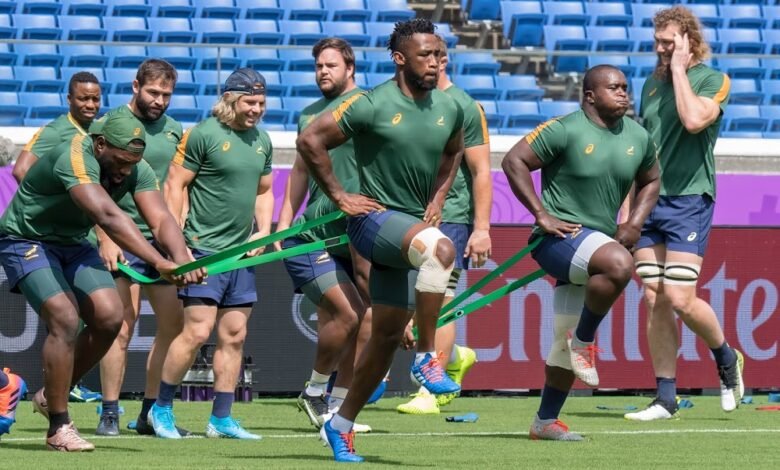 Springboks Equity Battle: New Bidder Proposes Fan Involvement Springboks Equity Battle: New Bidder Proposes Fan Involvement