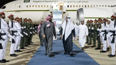 UAE President, Saudi Crown Prince Hold Crucial Talks