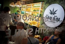 From Legal High to Ban: Thailand’s Cannabis U-Turn Shocks Industry