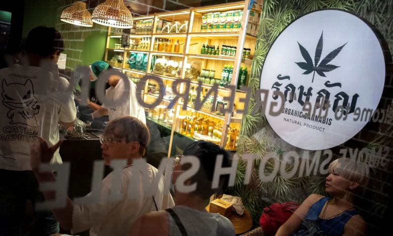 From Legal High to Ban: Thailand’s Cannabis U-Turn Shocks Industry From Legal High to Ban: Thailand’s Cannabis U-Turn Shocks Industry