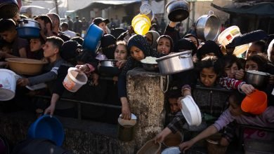 No Exit, No Mercy: A Tragedy Named Gaza No Exit, No Mercy: A Tragedy Named Gaza