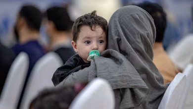 UAE Emerges as Key Transit Hub for 17,600 Afghan Refugees UAE Emerges as Key Transit Hub for 17,600 Afghan Refugees