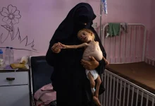 Gaza Starvation: The Untold Truth of a Modern Crisis