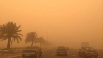 UAE Sandstorms: Hidden Patterns Revealed in 50-Year Historical Data