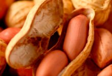 How Medical Science Fixed Its Biggest Mistake About Peanut Allergies How Medical Science Fixed Its Biggest Mistake About Peanut Allergies