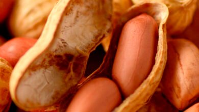 How Medical Science Fixed Its Biggest Mistake About Peanut Allergies How Medical Science Fixed Its Biggest Mistake About Peanut Allergies