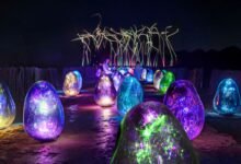 Manar Abu Dhabi’s Cultural Journey Reaches Al Ain Desert Manar Abu Dhabi’s Cultural Journey Reaches Al Ain Desert