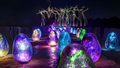 Manar Abu Dhabi’s Cultural Journey Reaches Al Ain Desert Manar Abu Dhabi’s Cultural Journey Reaches Al Ain Desert