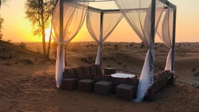 The Ultimate 48-Hour RAK Escape: From Misty Peaks to Magical Mangroves The Ultimate 48-Hour RAK Escape: From Misty Peaks to Magical Mangroves