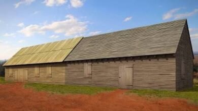 Monticello’s Child Labor: The Dark Reality of Thomas Jefferson’s Nailery