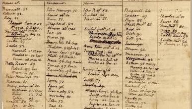 Unearthing Monticello: How Ledgers and Dirt Exposed the Nailery